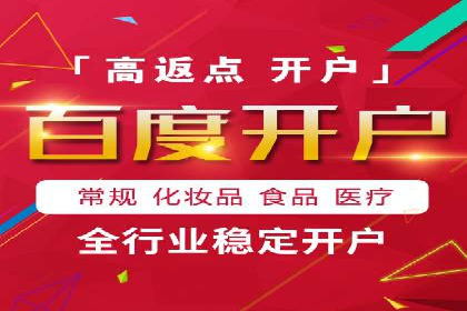 某某SEM服务公司成功案例：从数据出发的营销策略
